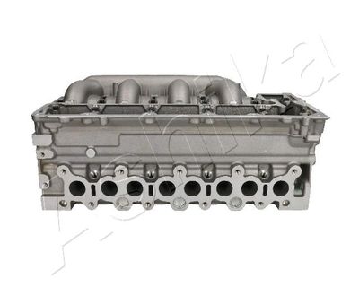 Cylinder Head ASHIKA SZ024S