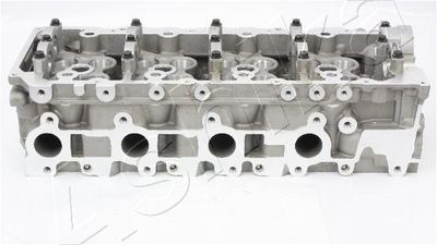 Cylinder Head ASHIKA TY009S