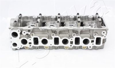 Cylinder Head ASHIKA TY010S