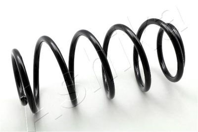 Suspension Spring ASHIKA ZCA1005H