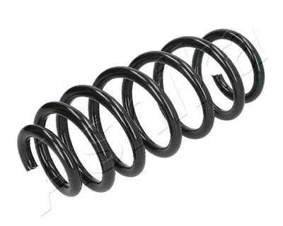 Suspension Spring ASHIKA ZCA1008A