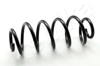 Suspension Spring ASHIKA ZCA1019H