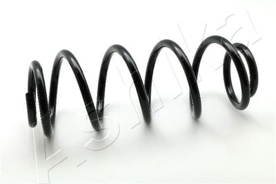Suspension Spring ASHIKA ZCA1021H