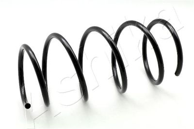 Suspension Spring ASHIKA ZCA1023G