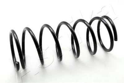 Suspension Spring ASHIKA ZCA1034A