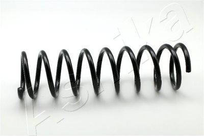 Suspension Spring ASHIKA ZCA1111A