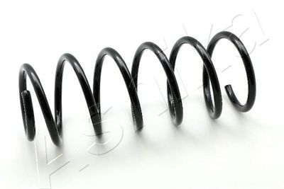 Suspension Spring ASHIKA ZCA1119C