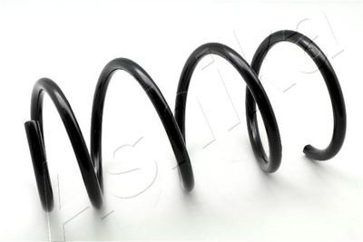 Suspension Spring ASHIKA ZCA1141G