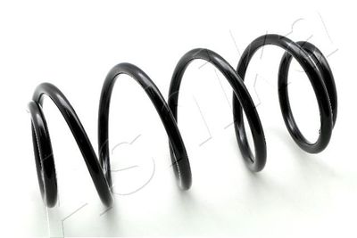 Suspension Spring ASHIKA ZCA1156H