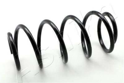 Suspension Spring ASHIKA ZCA1160H