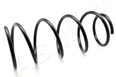 Suspension Spring ASHIKA ZCA1276G