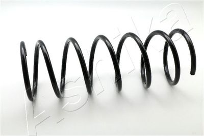 Suspension Spring ASHIKA ZCA1321A