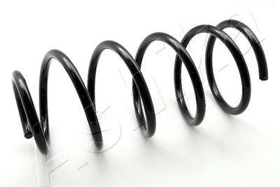 Suspension Spring ASHIKA ZCA1332G