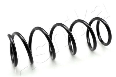 Suspension Spring ASHIKA ZCA1341A