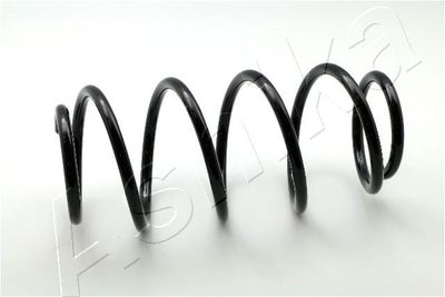 Suspension Spring ASHIKA ZCA1517H