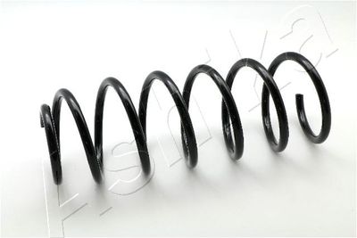 Suspension Spring ASHIKA ZCA1642G