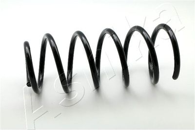 Suspension Spring ASHIKA ZCA1702C