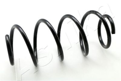 Suspension Spring ASHIKA ZCA1713H