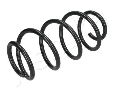 Suspension Spring ASHIKA ZCA1716H