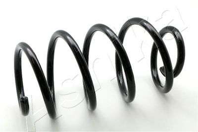 Suspension Spring ASHIKA ZCA1719H