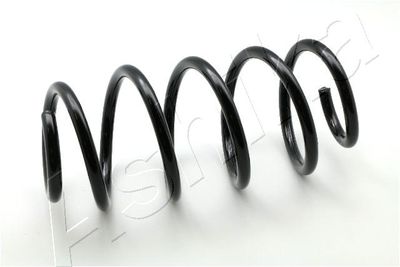 Suspension Spring ASHIKA ZCA1723H