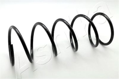 Suspension Spring ASHIKA ZCA1750A