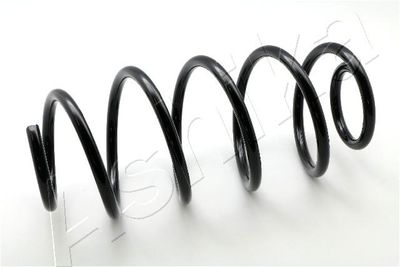Suspension Spring ASHIKA ZCA1797H
