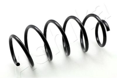 Suspension Spring ASHIKA ZCA1819A