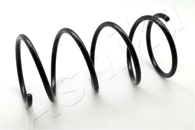 Suspension Spring ASHIKA ZCA1974A