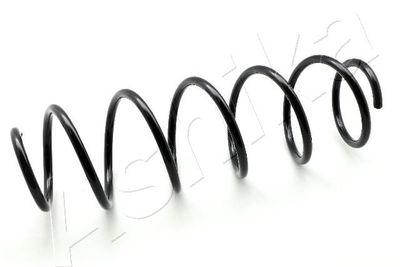 Suspension Spring ASHIKA ZCA2619H