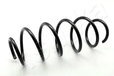 Suspension Spring ASHIKA ZCA2641H