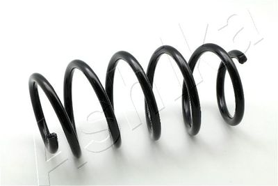Suspension Spring ASHIKA ZCA2681H
