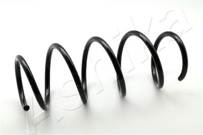 Suspension Spring ASHIKA ZCA2711H