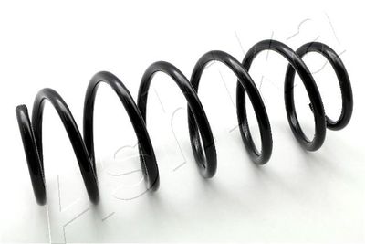 Suspension Spring ASHIKA ZCA2727H