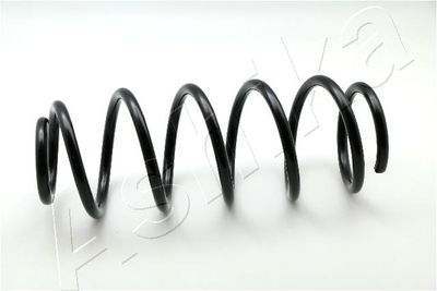 Suspension Spring ASHIKA ZCA2733H