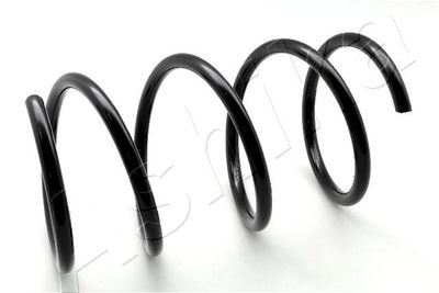 Suspension Spring ASHIKA ZCA2848A