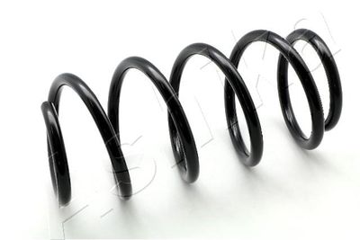 Suspension Spring ASHIKA ZCA2874H