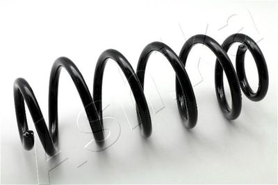 Suspension Spring ASHIKA ZCA2880H
