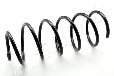 Suspension Spring ASHIKA ZCA2885C