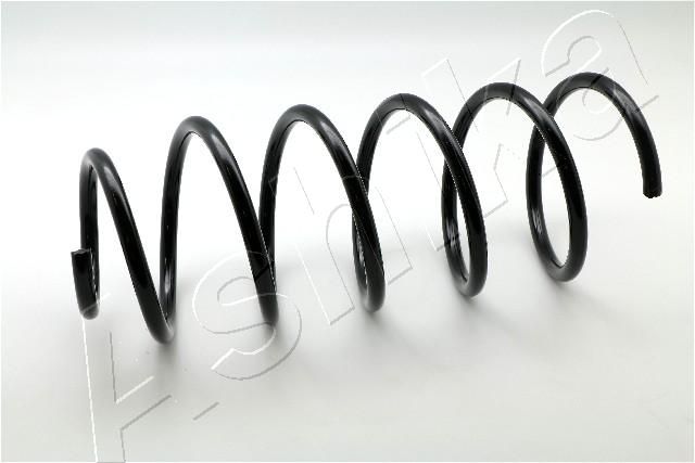 ASHIKA ZCA2887C Suspension Spring