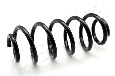 Suspension Spring ASHIKA ZCA2892H