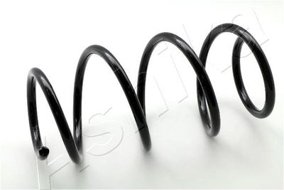 Suspension Spring ASHIKA ZCA2946H