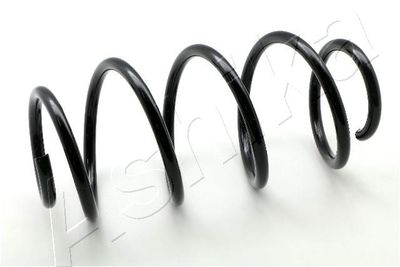 Suspension Spring ASHIKA ZCA2969H