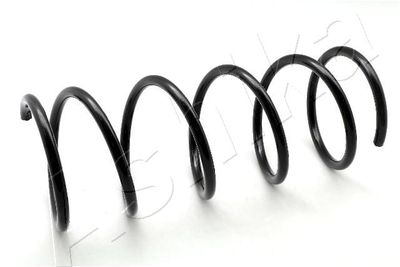 Suspension Spring ASHIKA ZCA2975A
