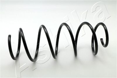 Suspension Spring ASHIKA ZCA3006H