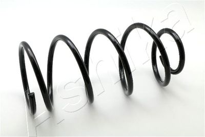 Suspension Spring ASHIKA ZCA3010C