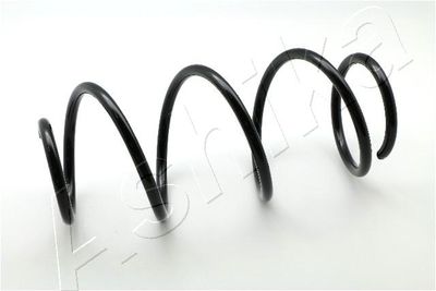 Suspension Spring ASHIKA ZCA3032H