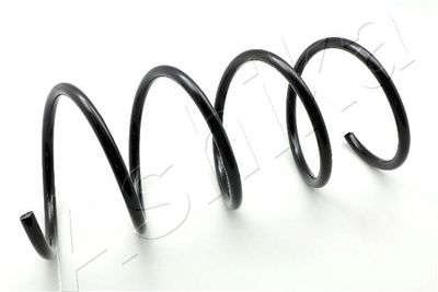 Suspension Spring ASHIKA ZCA3100A