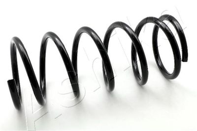 Suspension Spring ASHIKA ZCA3118A