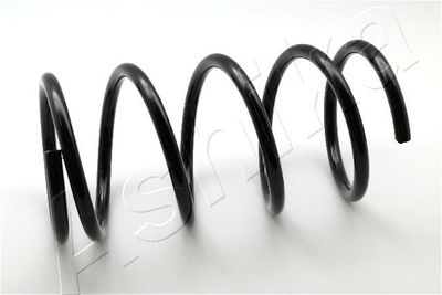 Suspension Spring ASHIKA ZCA3119A